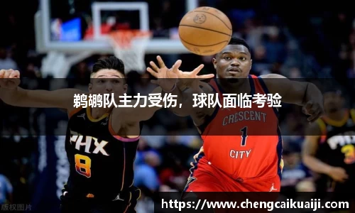 鹈鹕队主力受伤，球队面临考验